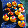 SPRINT DUCKS 4