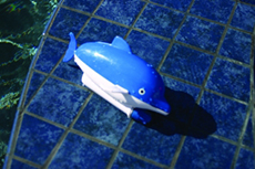 SPRINT AQUATICS BLUE SPOUTING DOLPHIN
