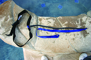 SPRINT AQUATICS TETHER